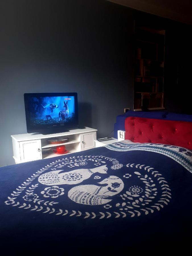 Дом Тины Apartment Tbilisi ภายนอก รูปภาพ